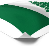 Norfolk Eiland Vlag Poster Print (Hoek)