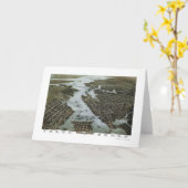 Norfolk en Portsmouth, Panoramische Kaart VA - (Gele Bloem)