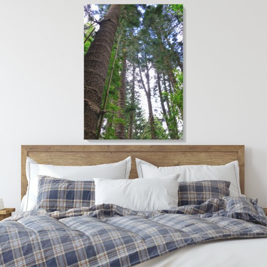 Norfolk Island Pine Trees Canvas Afdruk (Insitu (Slaapkamer))