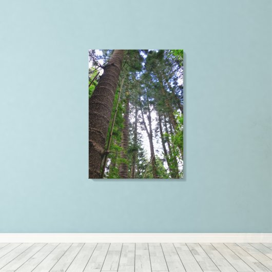 Norfolk Island Pine Trees Canvas Afdruk (Insitu (Houten vloer))
