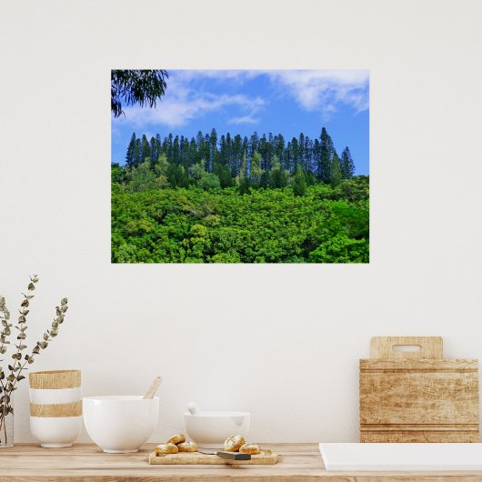Norfolk Island Pine Trees Poster (Keuken)