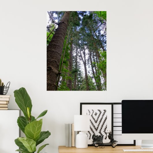 Norfolk Island Pine Trees Poster (Thuiskantoor)