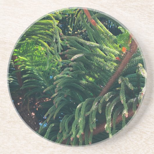 Norfolk Island Pine Zandsteen Onderzetter (Voorkant)