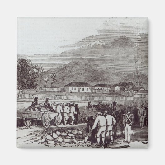 Norfolk Magneet (Voorkant)