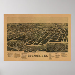 Norfolk Nebraska 1889 Antiek Panoramische Kaart Poster