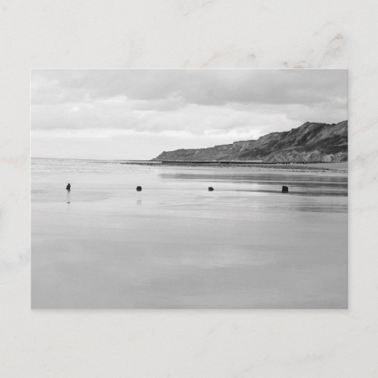 Norfolk Shore Briefkaart (Voorkant)