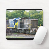 Norfolk Southern SW- 1001 2105 & CSX 1537 Muismat (Met muis)