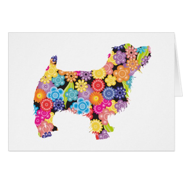 Norfolk Terrier (Voorkant Horizontaal)