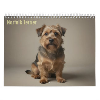 Norfolk Terrier 2027 Muurkalender Kalender