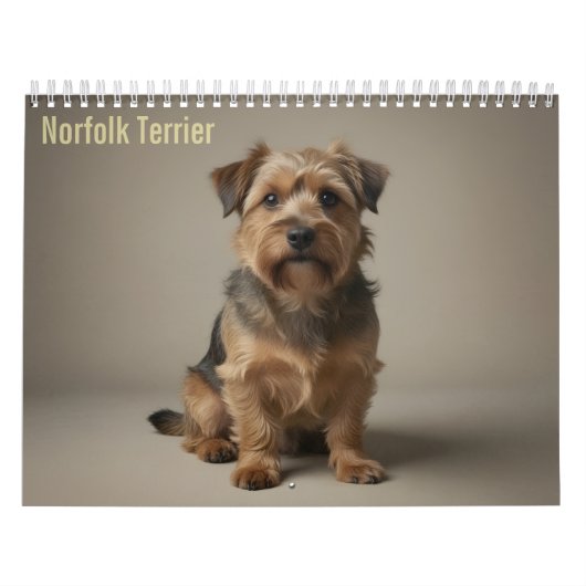 Norfolk Terrier 2027 Muurkalender Kalender (Hoes)