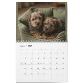 Norfolk Terrier 2027 Muurkalender Kalender (Mar 2027)