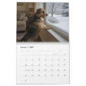 Norfolk Terrier 2027 Muurkalender Kalender (Jan 2027)
