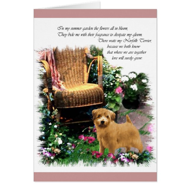 Norfolk Terrier Art Gifts (Voorkant)