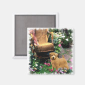 Norfolk Terrier Art Gifts Magneet (Voorkant / Achterkant)