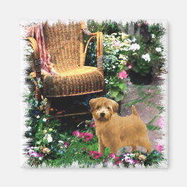 Norfolk Terrier Art Gifts Magneet