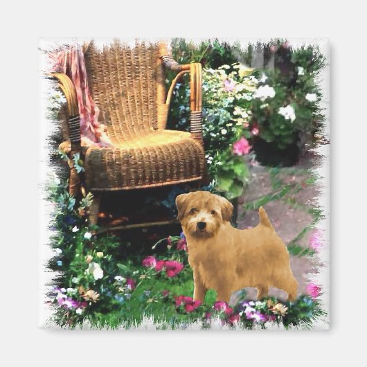 Norfolk Terrier Art Gifts Magneet (Voorkant)