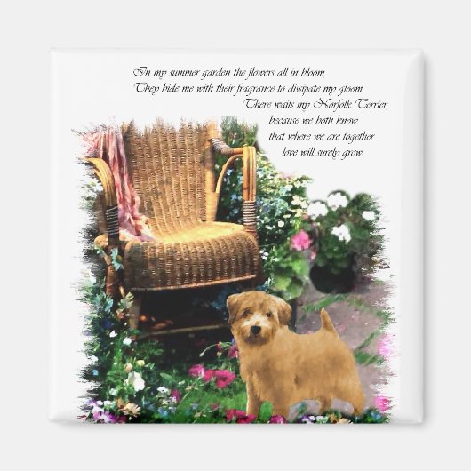 Norfolk Terrier Art Gifts Magneet (Voorkant)