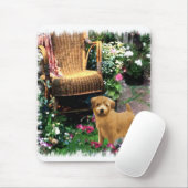 Norfolk Terrier Art Gifts Muismat (Met muis)