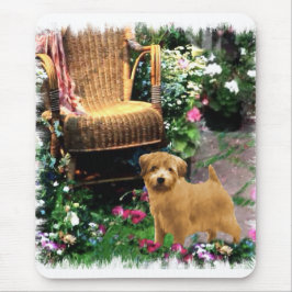 Norfolk Terrier Art Gifts Muismat