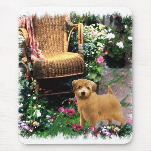 Norfolk Terrier Art Gifts Muismat (Voorkant)