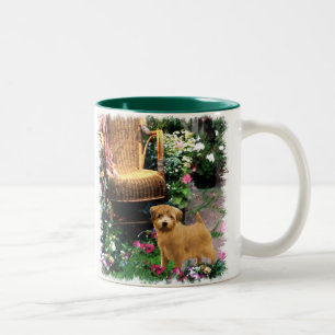 Norfolk Terrier Art Gifts Tweekleurige Koffiemok