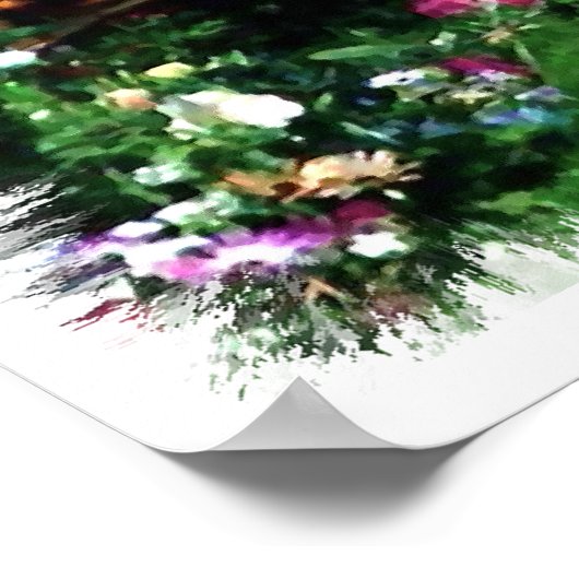 Norfolk Terrier Art Print (Hoek)