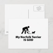 Norfolk Terrier Briefkaart (Voorkant / Achterkant)