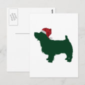 Norfolk Terrier Briefkaart (Voorkant / Achterkant)