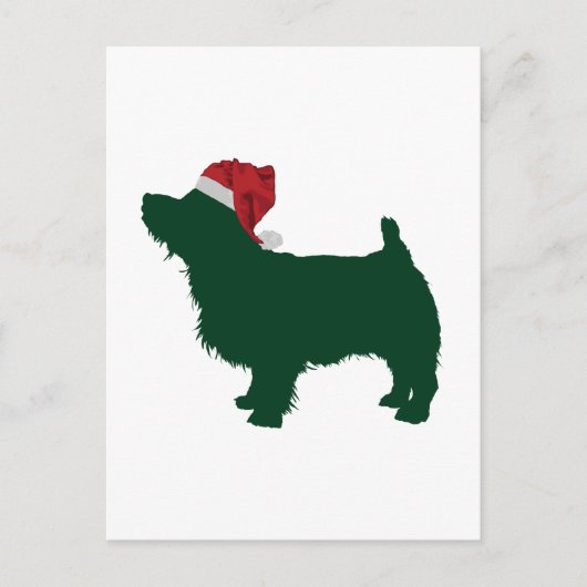 Norfolk Terrier Briefkaart (Voorkant)