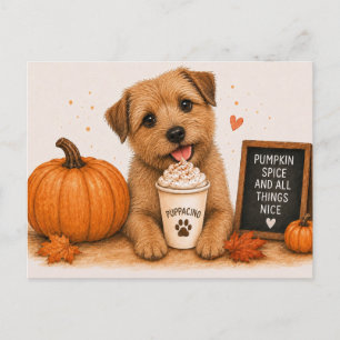 Norfolk Terrier Cozy Pumpkin Spice Puppaccino Briefkaart