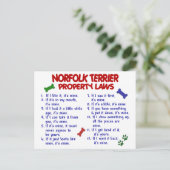 NORFOLK TERRIER Eigendomwetten 2 Briefkaart (Staand voorkant)