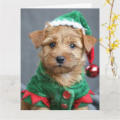 Norfolk Terrier Elf Puppy Kerst Kaart (Gele Bloem)