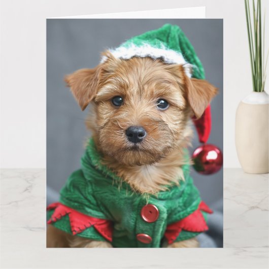Norfolk Terrier Elf Puppy Kerst Kaart (Voorkant)