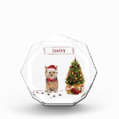 Norfolk Terrier Funny Kersthond met boom Fotoblokken (Voorkant)