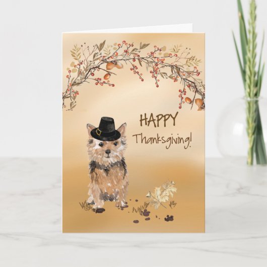 Norfolk Terrier Funny Pilgrim Pet Thanksgiving Kaart (Voorkant)