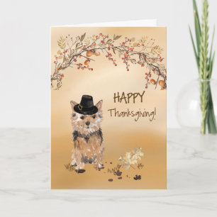 Norfolk Terrier Funny Pilgrim Pet Thanksgiving Kaart