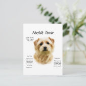 Norfolk Terrier Geschiedenis Ontwerp Briefkaart (Staand voorkant)