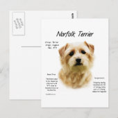 Norfolk Terrier Geschiedenis Ontwerp Briefkaart (Voorkant / Achterkant)