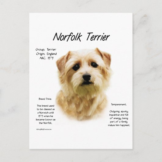Norfolk Terrier Geschiedenis Ontwerp Briefkaart (Voorkant)