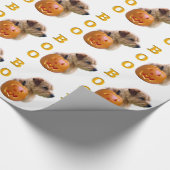 Norfolk Terrier Halloween Boo Cadeaupapier (Hoek)