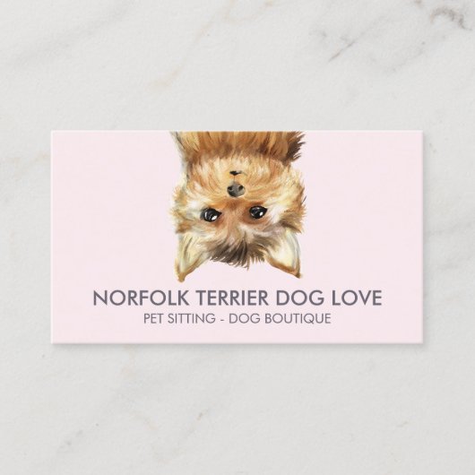Norfolk Terrier Hond Visitekaartje (Voorkant)