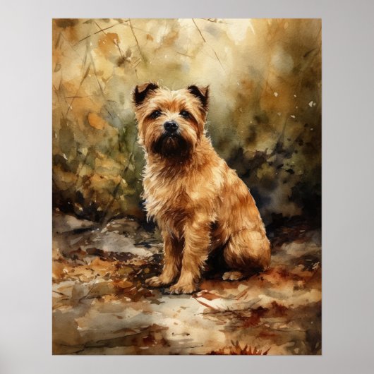 Norfolk Terrier Hondenkunst Print Poster (Voorkant)