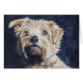 Norfolk Terrier-hoofdstudie