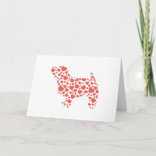 Norfolk Terrier Kaart