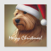 Norfolk Terrier Kerstmis (Voorkant)