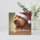 Norfolk Terrier Kerstmis (Staand voorkant)