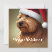 Norfolk Terrier Kerstmis (Voorkant)