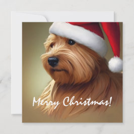 Norfolk Terrier Kerstmis