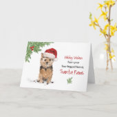 Norfolk Terrier Kerstmis van Dog in Funny Santa Kaart (Gele Bloem)
