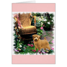 Norfolk Terrier Kunst Cadeaus